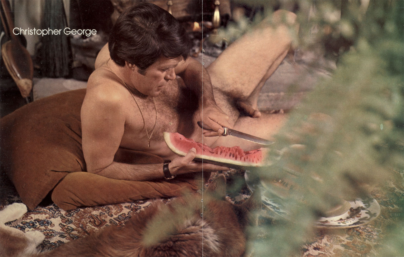 Christopher george playgirl centerfold centerfold playgirl Christopher george